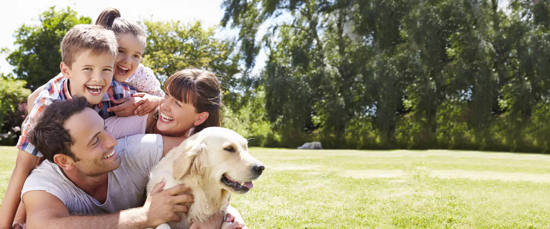 Family Friendly & Multilingual Staff